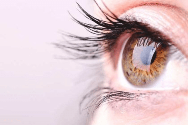 Eyelash Mites Explained: Causes, Symptoms, and Effective Treatment Options