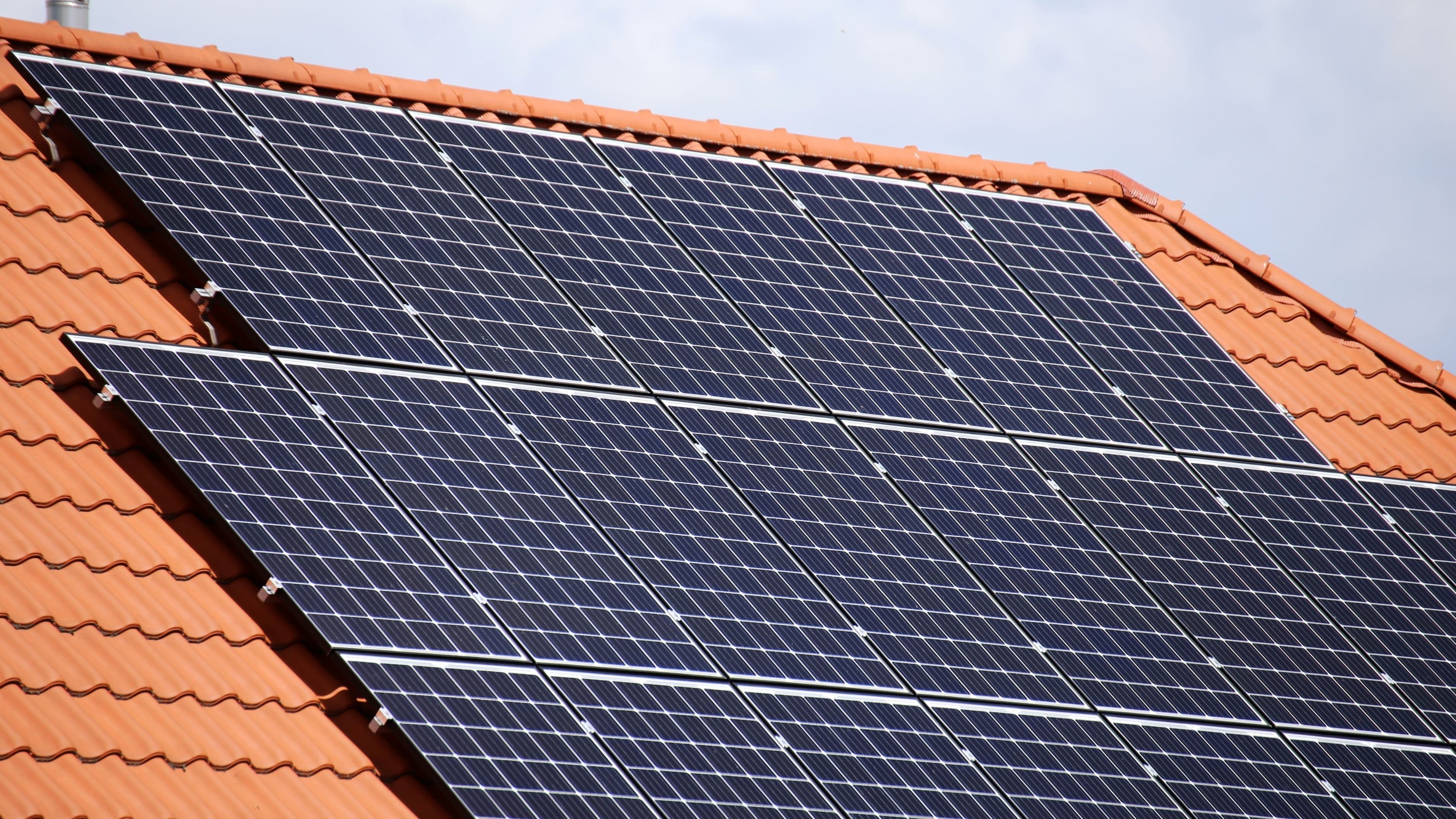 Is Bird Netting Worth Installing Around Solar Panels?
