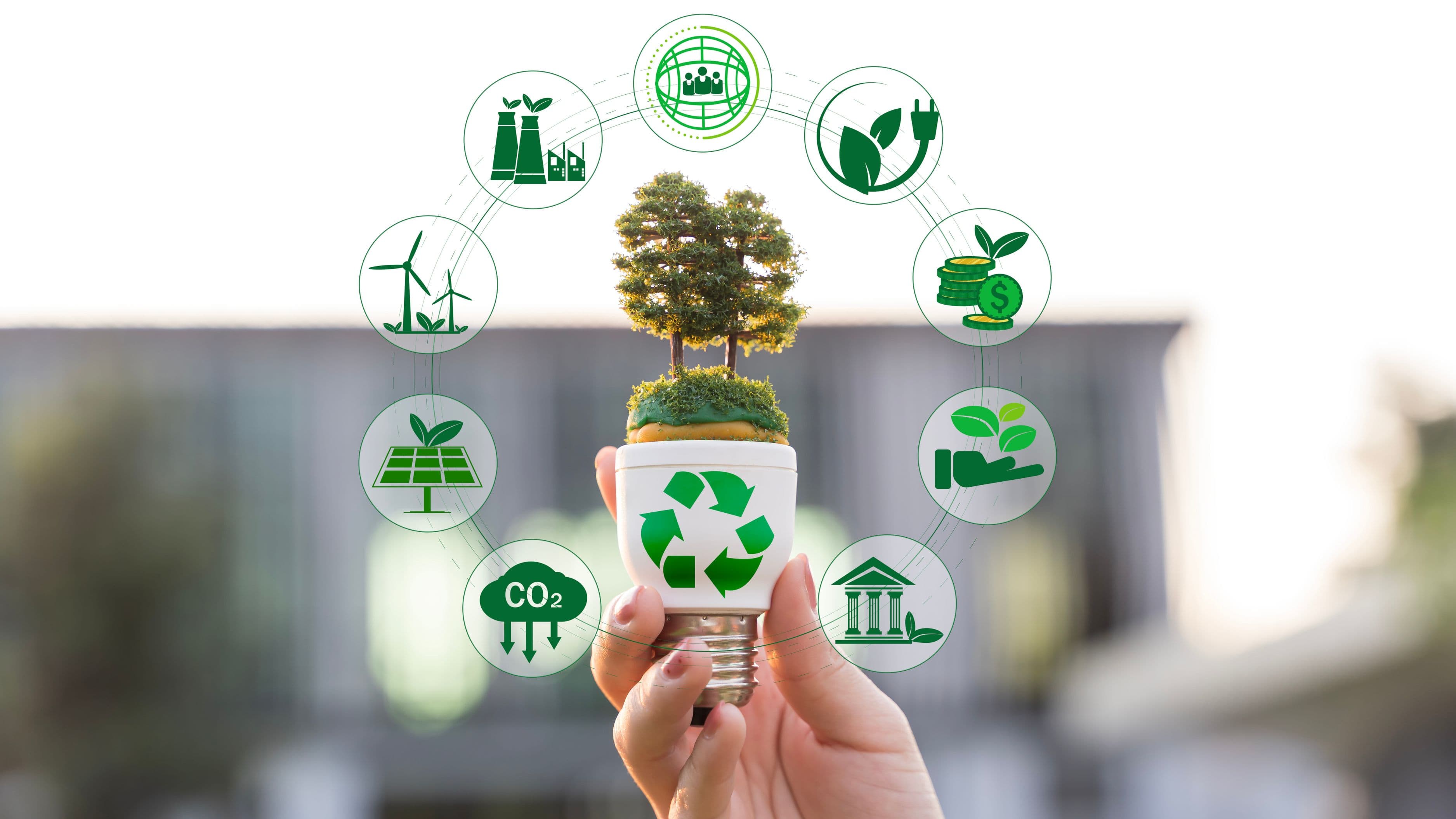 The Real Environmental Cost of Throwing Away Appliances