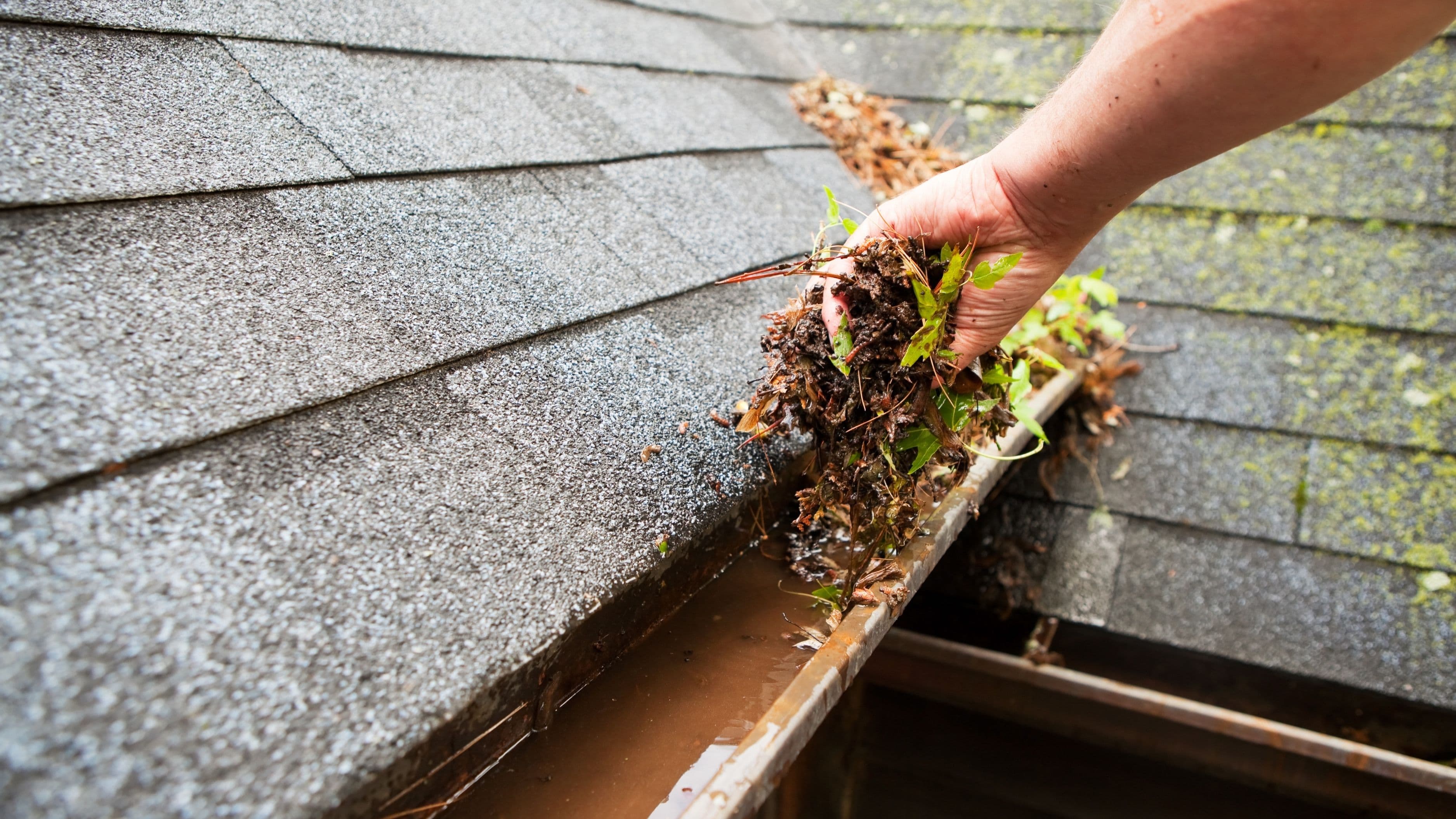 Should You Clean Gutters Twice a Year or More Often?
