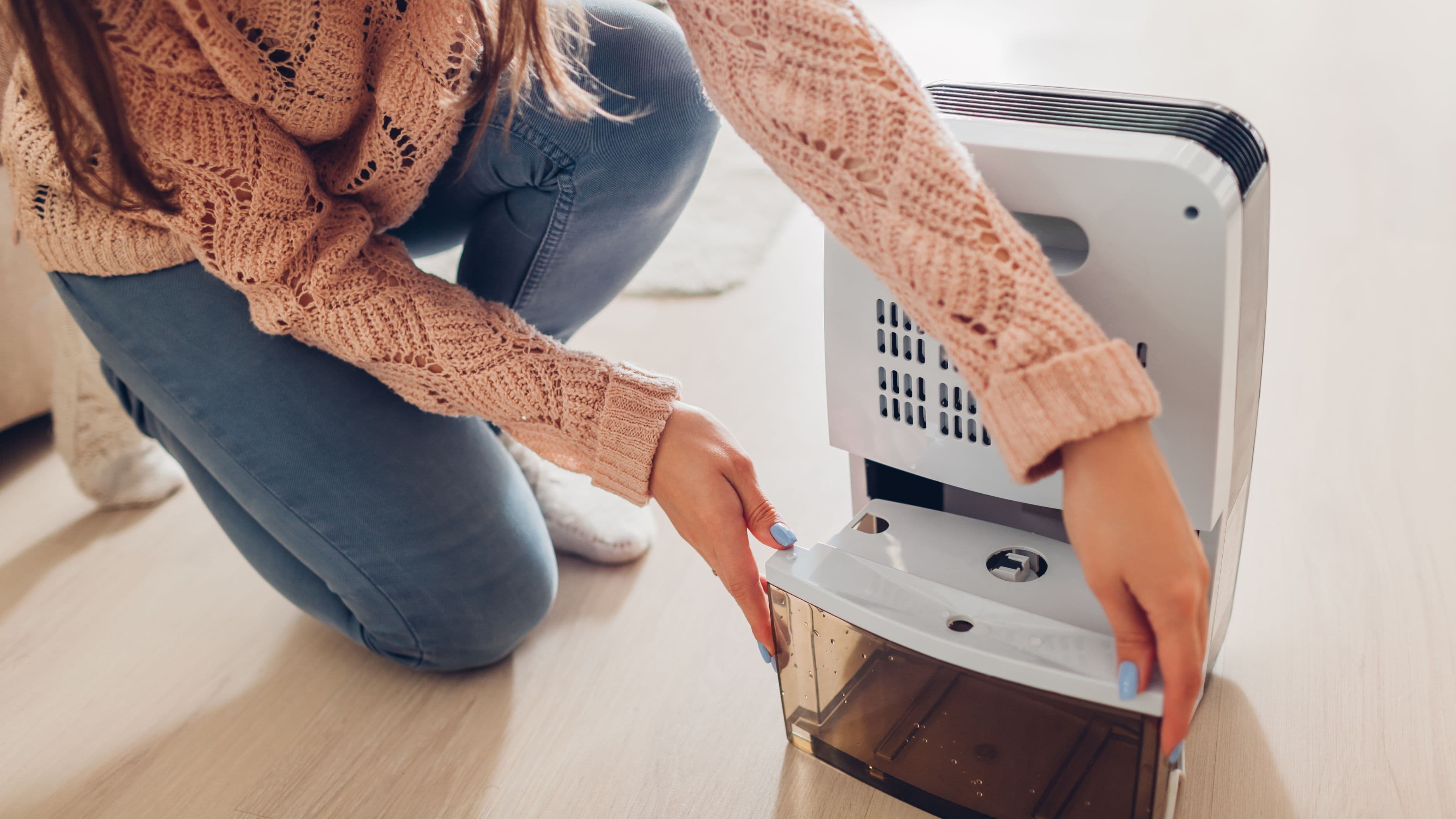 How to Prevent Mold Growth with a Whole-Home Dehumidifier