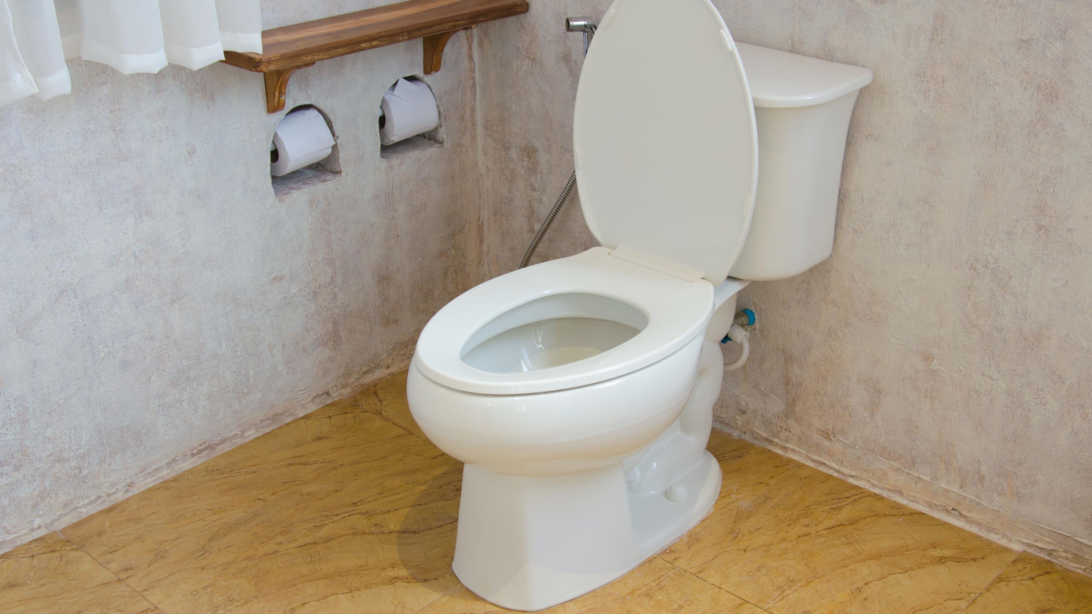 How to Replace a Worn Toilet Flapper in 10 Minutes