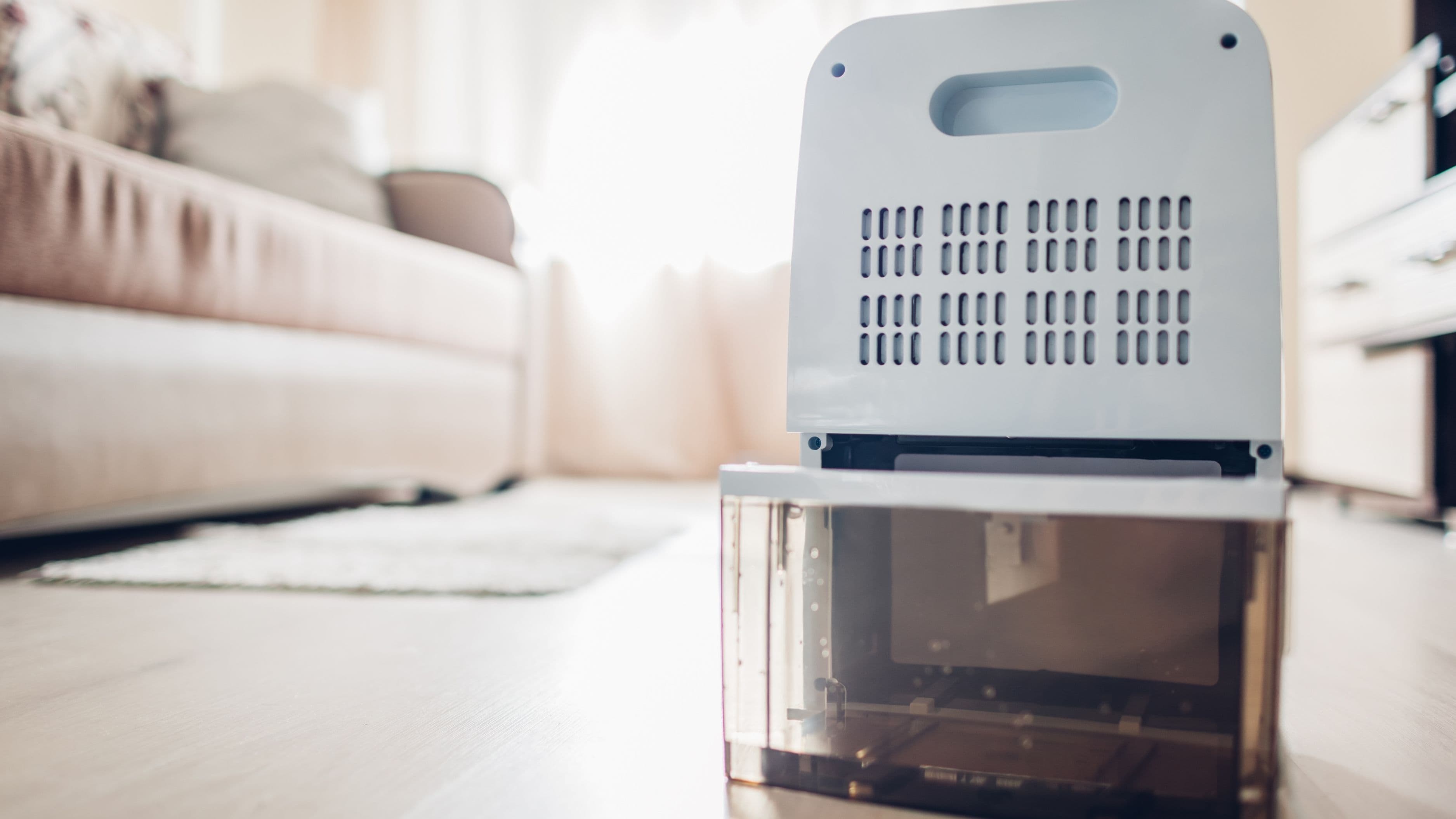 How to Size a Dehumidifier for Your Home's Square Footage