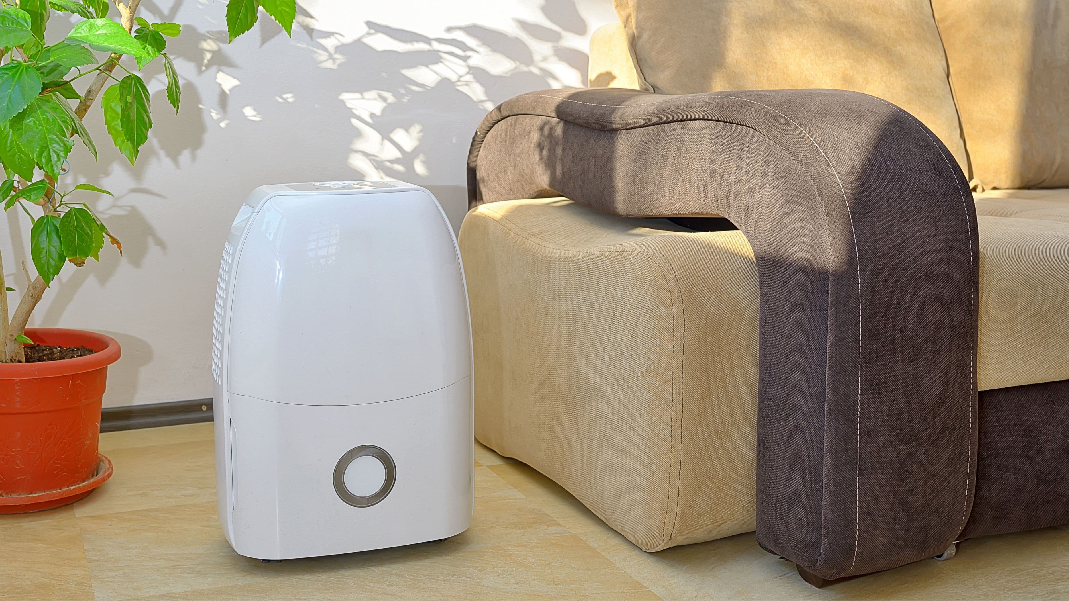 What Is a Whole-Home Dehumidifier and Do You Actually Need One?