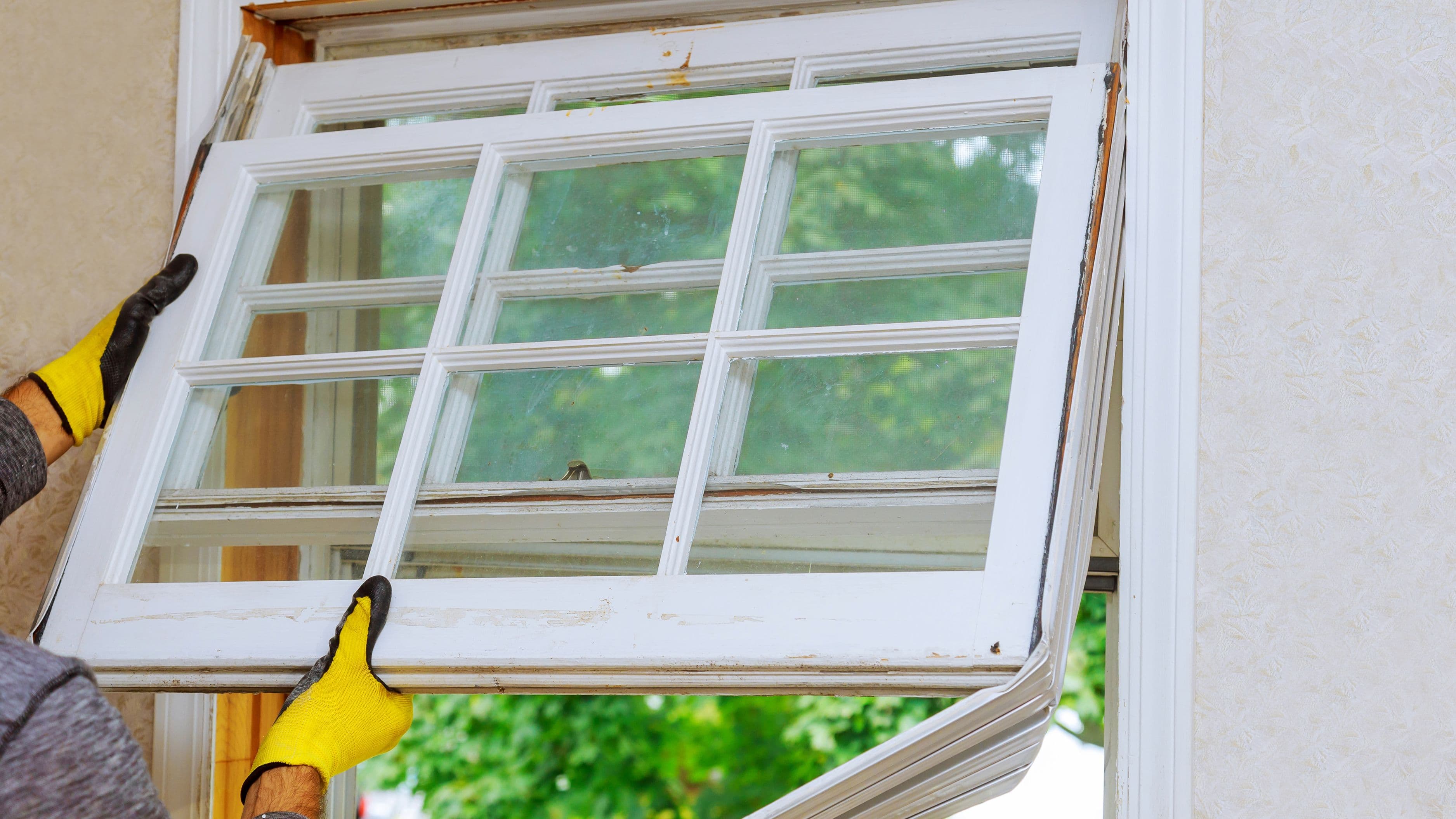 Window Replacement Guide for Energy Efficiency and Home Comfort
